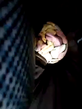 Snapshot of Policeman20742 chatting on February 25, 2025, 6:09 pm Policeman20742 online show from February 25, 2025, 6:09 pm