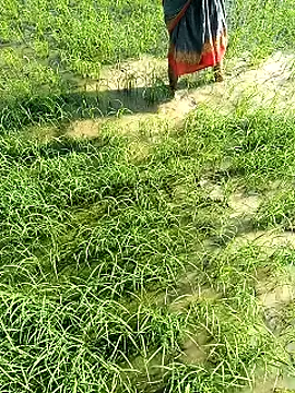 hairipussy2 online show from February 7, 2025, 3:55 am