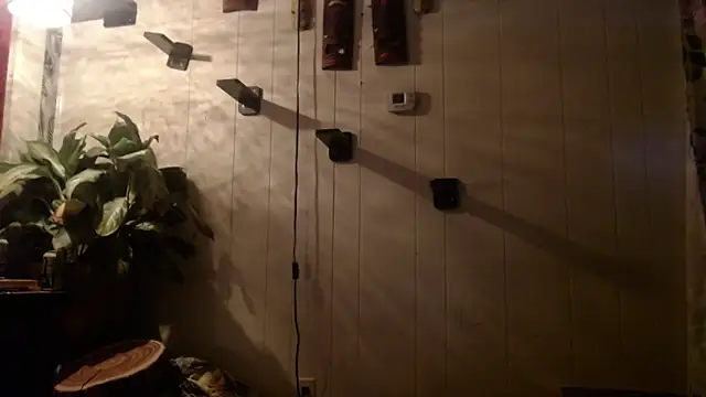 UnCuTupTheBuTT online show from November 16, 2025, 9:26 am