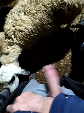 murokkk31 online show from January 9, 2026, 11:28 pm