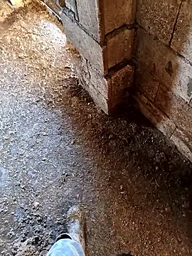 murokkk31 online show from January 14, 2026, 7:14 am