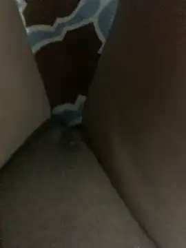 WyvaxxNikkie online show from January 23, 2025, 5:31 pm