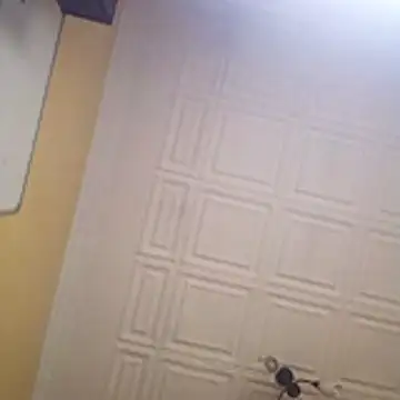 wlammi ptr online show from January 19, 2026, 10:41 am