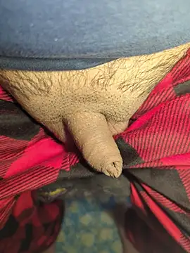 publicsir online show from April 17, 2026, 6:22 pm