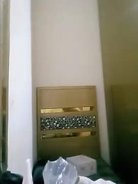 Snapshot of Naariman chatting on December 26, 2024, 9:55 am Naariman online show from December 26, 2024, 9:55 am