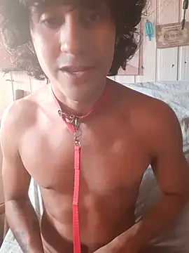 Snapshot of pedrodavid_ chatting on May 6, 2026, 8:58 pm pedrodavid online show from May 6, 2026, 8:58 pm