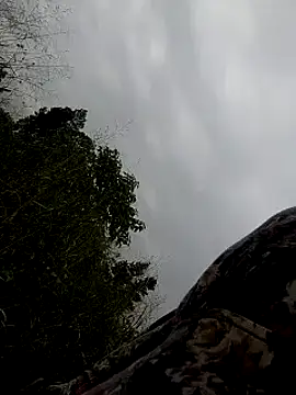 Sherry she online show from February 2, 2025, 6:58 am