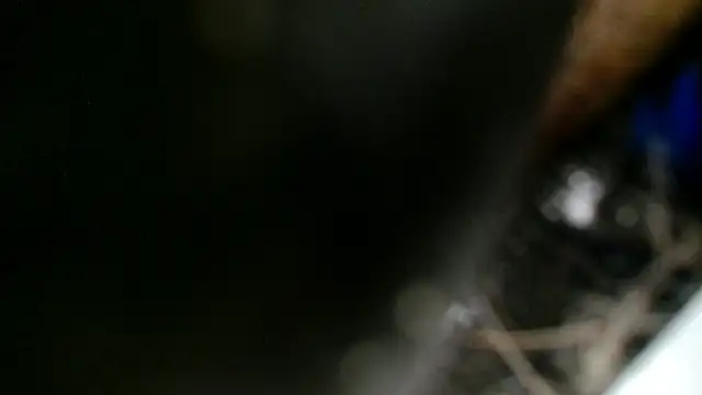 Gigadickman online show from December 2, 2024, 11:40 pm