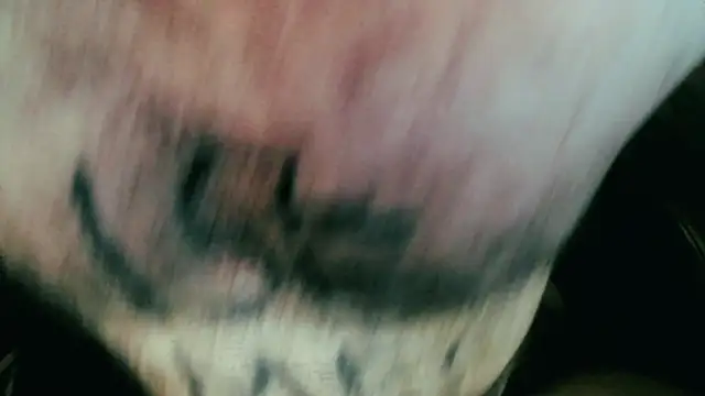 Gigadickman online show from January 5, 2025, 11:44 pm