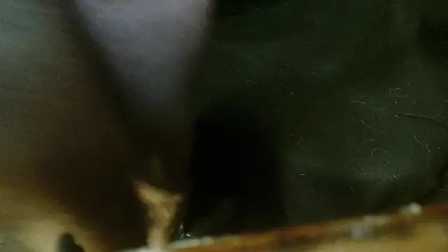 Gigadickman online show from October 4, 2025, 2:31 am