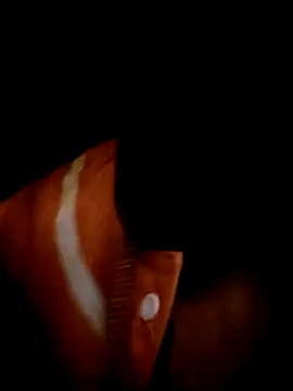 Snapshot of ale3J4a chatting on February 2, 2025, 6:48 am ale3J4a online show from February 2, 2025, 6:48 am