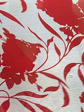 Sexy Evelynn online show from February 22, 2026, 4:24 am