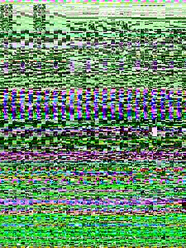 -SHINON- online show from November 9, 2025, 11:52 am