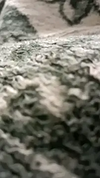 sokrates13 online show from January 11, 2025, 7:38 pm