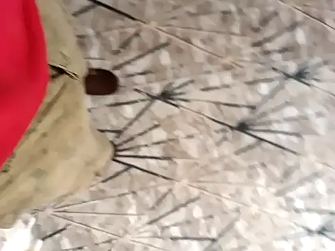 sokrates13 online show from January 21, 2025, 7:15 am