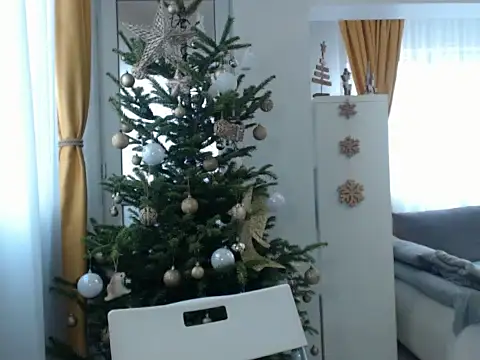 GoldenMark online show from December 20, 2024, 12:05 pm