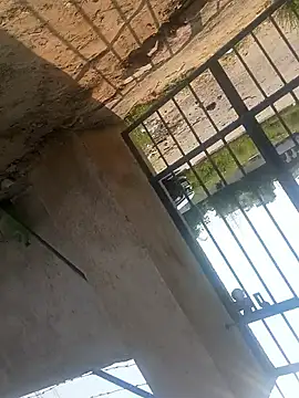 rjxraj online show from October 23, 2025, 4:34 am