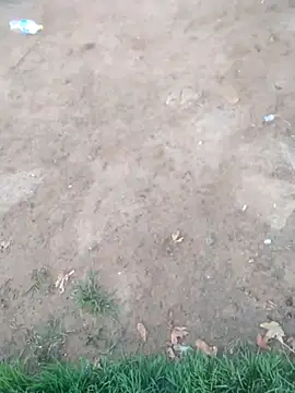 KINGJACKOFF online show from December 26, 2024, 3:27 am