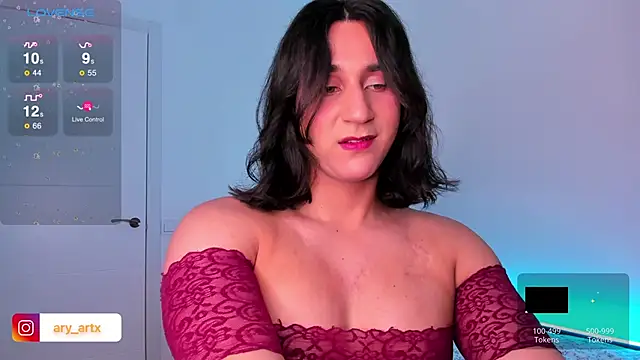 Snapshot of Ary_art chatting on January 6, 2025, 5:06 pm Ary art online show from January 6, 2025, 5:06 pm