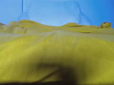 Snapshot of GerardSmitt chatting on October 24, 2025, 3:03 am GerardSmitt online show from October 24, 2025, 3:03 am