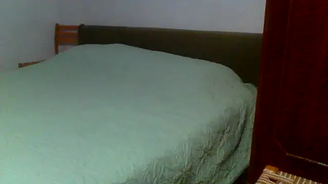 Snapshot of petan33 chatting on September 11, 2025, 6:41 pm petan33 online show from September 11, 2025, 6:41 pm