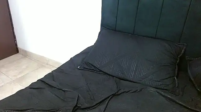 Snapshot of Hendry_ chatting on December 6, 2024, 7:43 am Hendry online show from December 6, 2024, 7:43 am