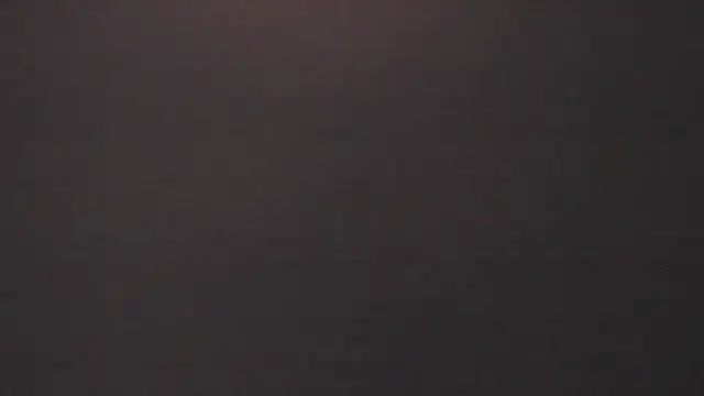 vera candella online show from February 16, 2026, 12:01 pm