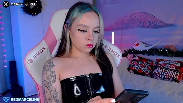 Snapshot of meowceline chatting on December 22, 2024, 3:22 pm meowceline online show from December 22, 2024, 3:22 pm