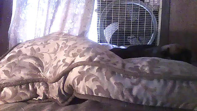 luke thighwalker2469 online show from April 20, 2026, 4:10 pm