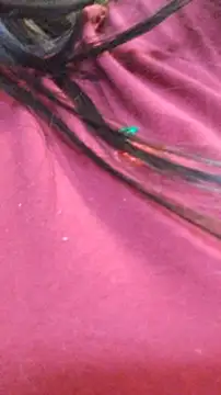 Snapshot of ailyn_miranda chatting on November 29, 2025, 7:50 pm ailyn miranda online show from November 29, 2025, 7:50 pm