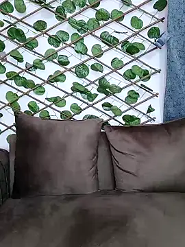 Snapshot of Bold-Cat chatting on December 5, 2024, 11:07 pm Bold-Cat online show from December 5, 2024, 11:07 pm