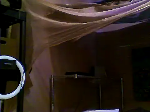 JdLove1 online show from December 31, 2024, 7:40 pm