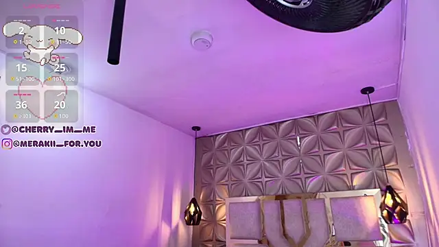 Snapshot of meraki_fraise chatting on November 25, 2025, 4:07 pm meraki fraise online show from November 25, 2025, 4:07 pm