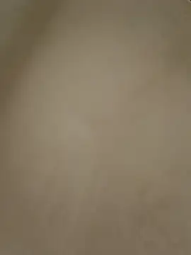 anabella1888 online show from May 8, 2026, 8:14 pm