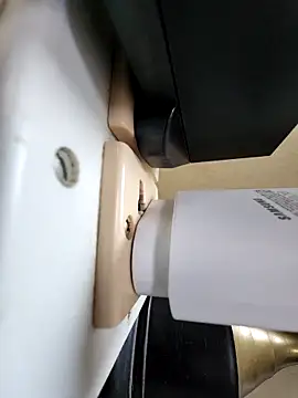 rocksrockydick online show from November 17, 2025, 8:31 am