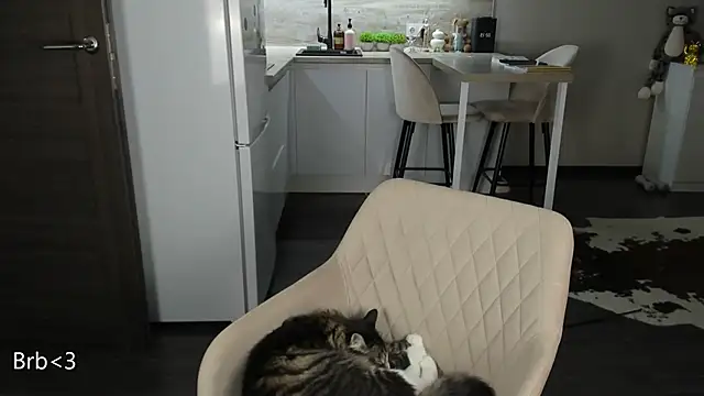 nilliluv online show from March 19, 2026, 11:20 pm