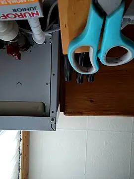 Snapshot of intx800 chatting on March 9, 2025, 6:06 am intx800 online show from March 9, 2025, 6:06 am