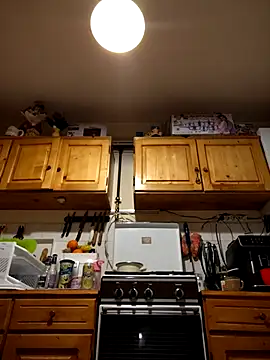 Snapshot of intx800 chatting on March 21, 2025, 3:12 am intx800 online show from March 21, 2025, 3:12 am