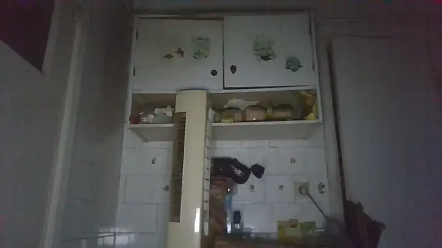 mariusica1xh online show from March 13, 2026, 4:08 am