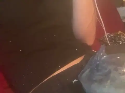 skatebored online show from January 26, 2025, 4:51 pm