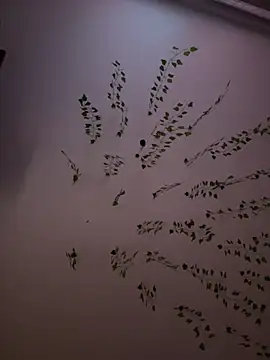 -Sexy Barbie- online show from February 8, 2025, 10:39 am