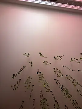 -Sexy Barbie- online show from March 11, 2025, 2:43 am