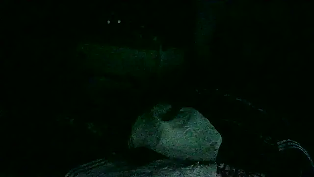 Snapshot of DI4MOND_FIR3 chatting on November 18, 2025, 10:41 am DI4MOND FIR3 online show from November 18, 2025, 10:41 am