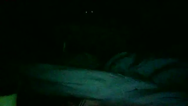 Snapshot of DI4MOND_FIR3 chatting on November 27, 2025, 12:18 pm DI4MOND FIR3 online show from November 27, 2025, 12:18 pm