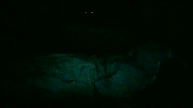 Snapshot of DI4MOND_FIR3 chatting on November 28, 2025, 12:24 am DI4MOND FIR3 online show from November 28, 2025, 12:24 am