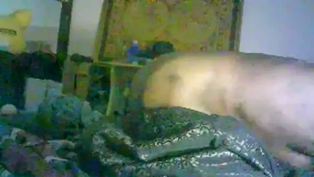 DI4MOND FIR3 online show from February 2, 2026, 12:48 pm