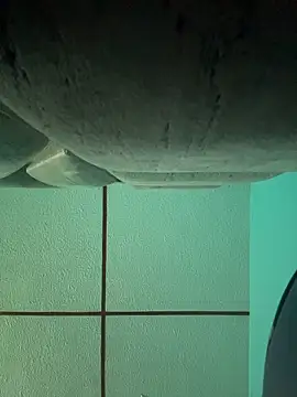 Snapshot of dulce_celeste15 chatting on November 15, 2025, 3:08 pm dulce celeste15 online show from November 15, 2025, 3:08 pm