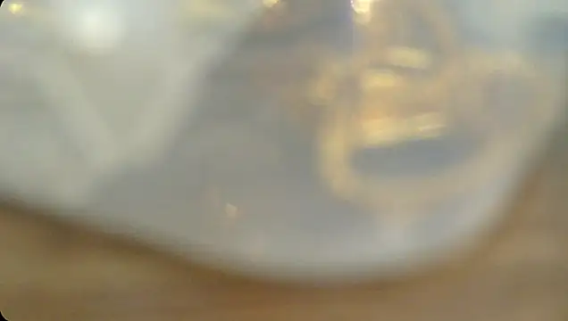 Snapshot of Rashisharma chatting on October 14, 2025, 12:06 pm Rashisharma online show from October 14, 2025, 12:06 pm