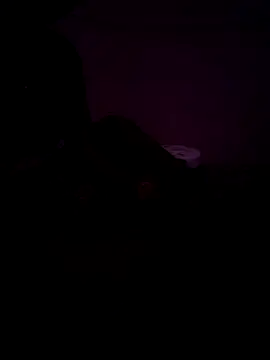 FeltedEuropium online show from December 17, 2024, 8:45 am