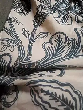 Shikhasexy34 online show from January 9, 2026, 1:52 am